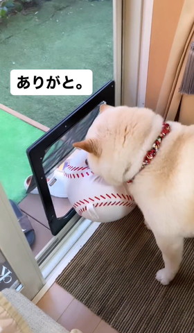 ありがとテロップ