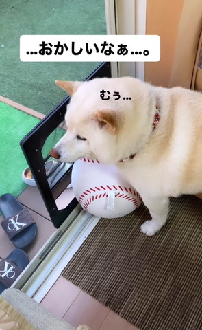 おかしいなぁテロップ