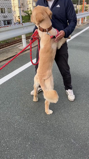 ビビり中のあらんくん