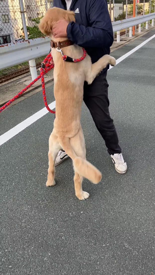 抱きしめられるあらんくん