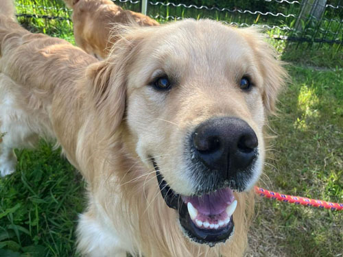 笑顔のあらんくん