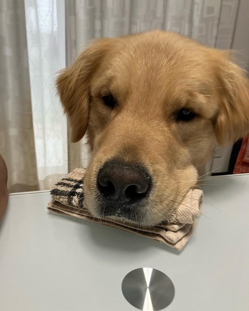 ぐっすり眠るあらんくん