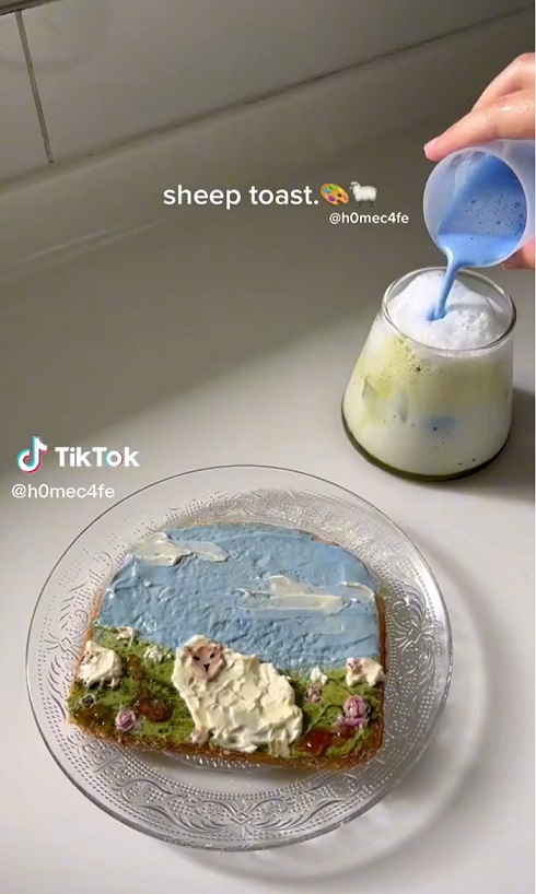 sheep01