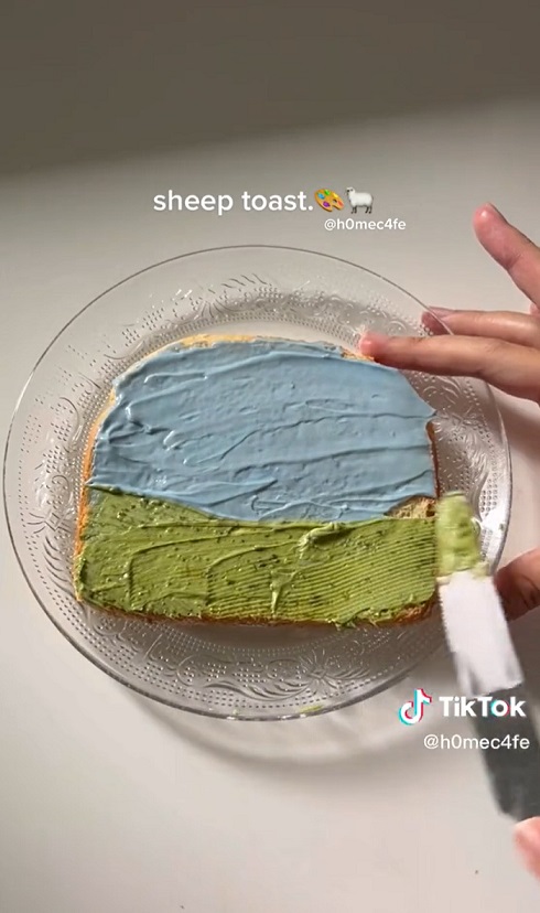 sheep02