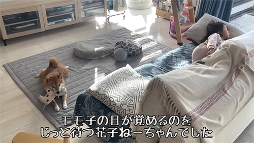 じっと待つ花子ねーちゃん