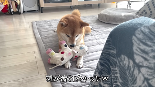 あごが疲れちゃった