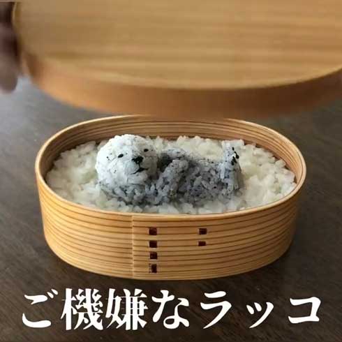 ご機嫌 ラッコ おにぎり 弁当