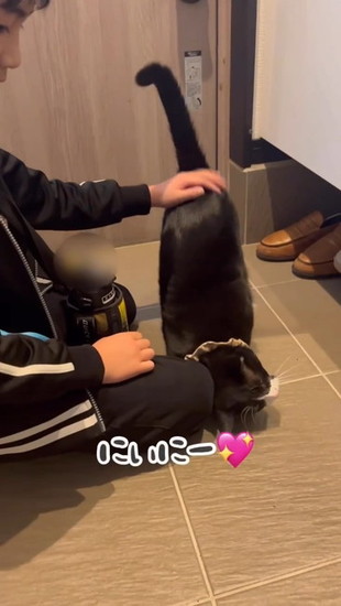 頭をこすりつける猫