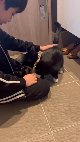 水筒にくっつく猫