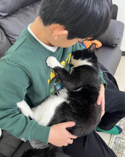 抱かれたまま眠る猫