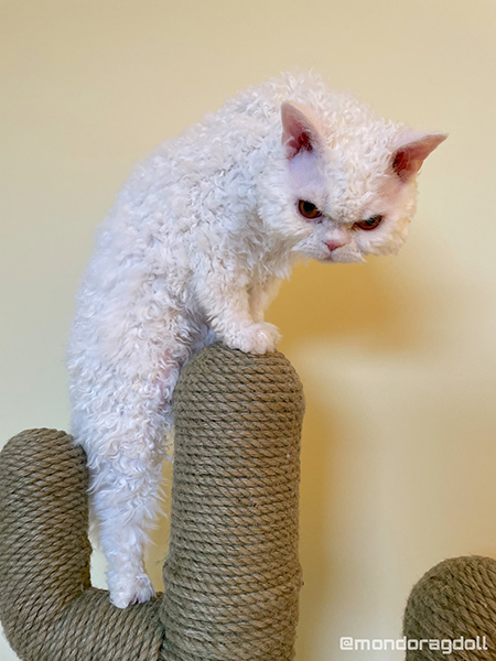 立ち上がりムラくん