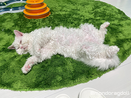 へそ天ムラくん