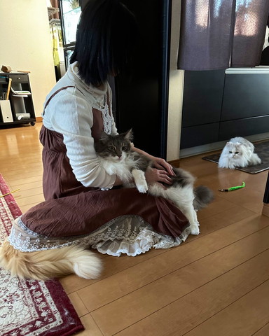 ママさんに甘える猫