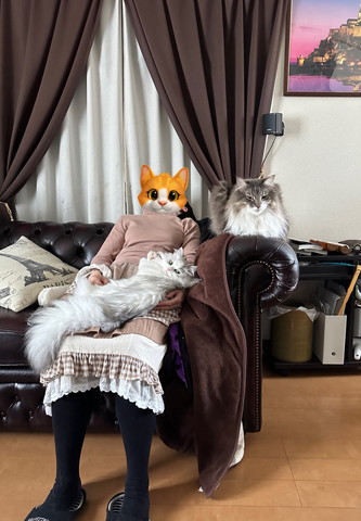 ソファに座るママさんと猫