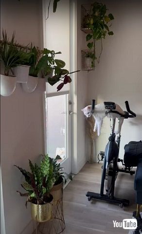 くつろぎ方が独特