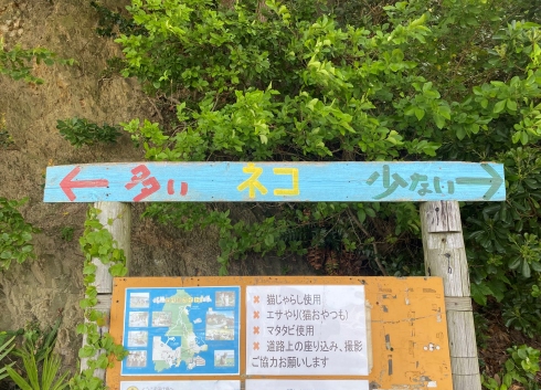 田代島の看板「←多い　ネコ　少ない→」