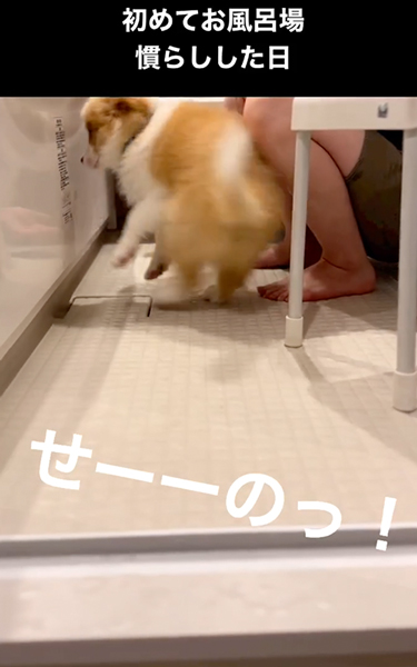 はじめてのお風呂