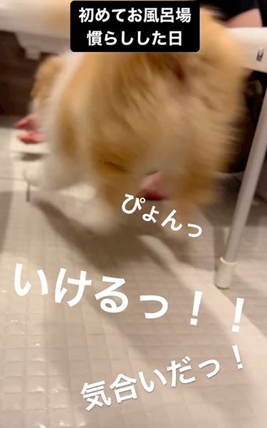 はじめてのお風呂