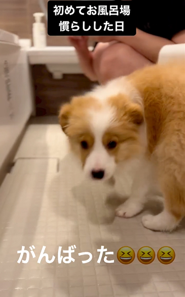 はじめてのお風呂