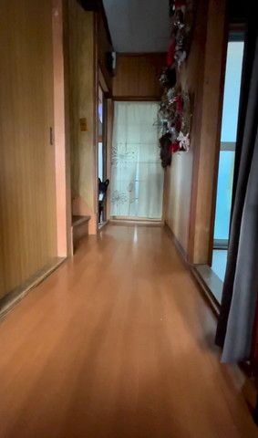 のぞいてるワンコ