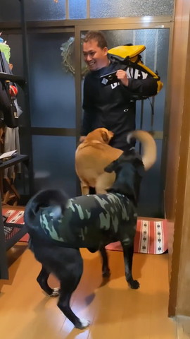 茶色いワンコパパさんの元に後ろには黒いワンコ