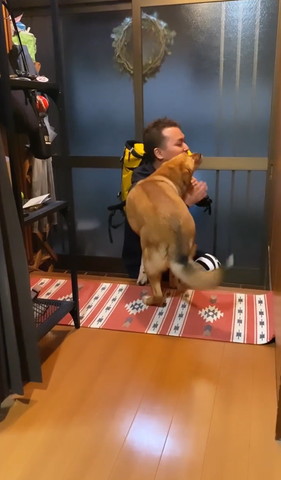 パパさんにすり寄る茶色いワンコ