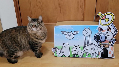 猫とイラスト