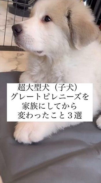 おすすめ