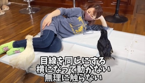 ママとのまったり時間を過ごすカラス