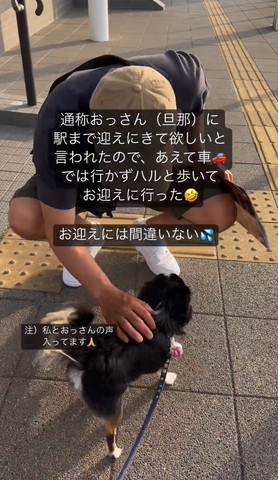 ワンコをなでるパパさん