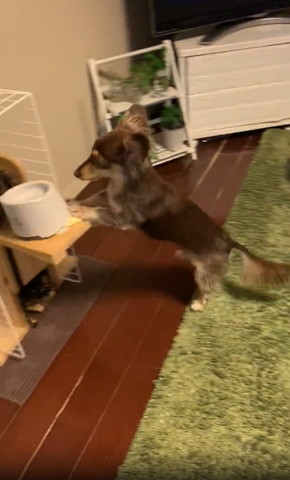 チェアにつかまり立ちする横顔