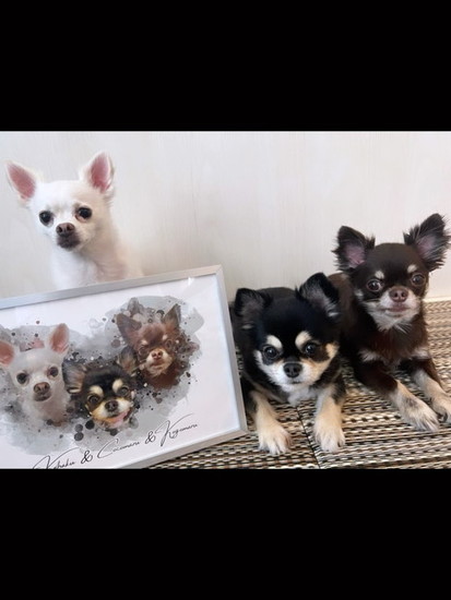 似顔絵と犬