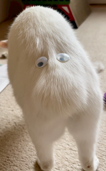 リリーの尻尾シリーズ