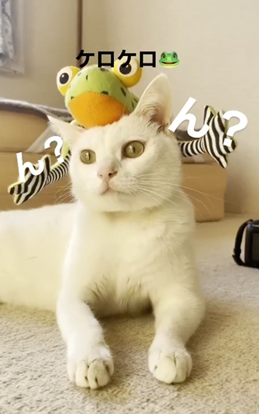 細かいことは気にしない