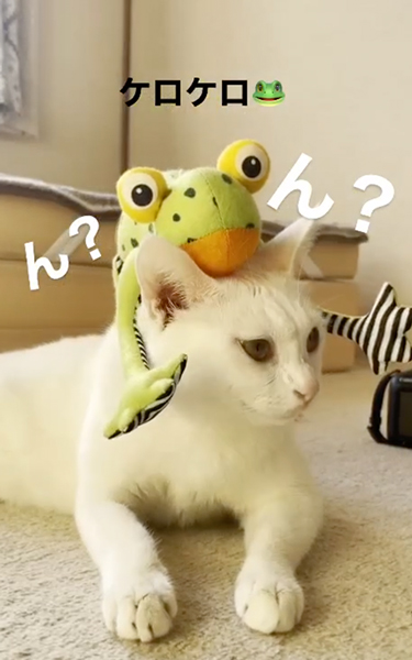 細かいことは気にしない