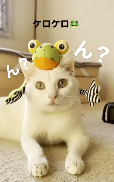 細かいことは気にしない