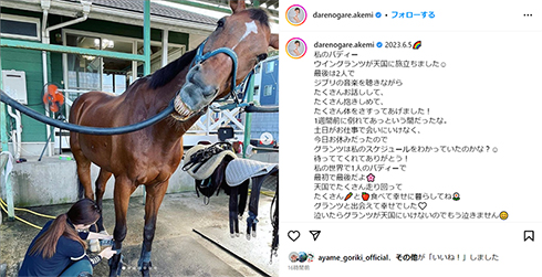 ダレノガレ明美の愛馬が死去