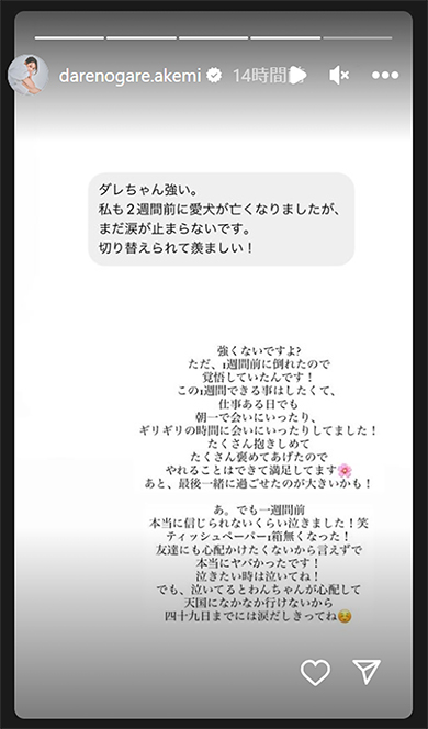 ダレノガレ明美の愛馬が死去