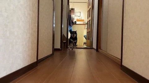 おすすめ