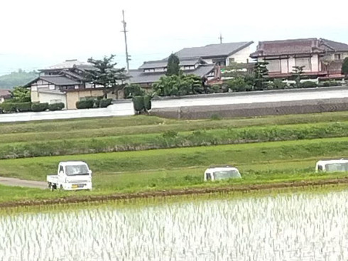 軽トラの群れ