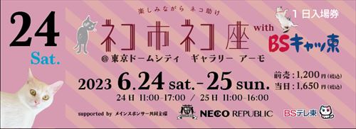 ネコ市ネコ座