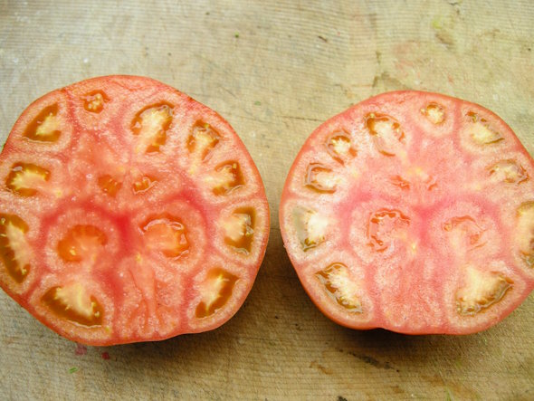 トマトの断面