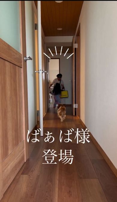 娘へのサプライズ