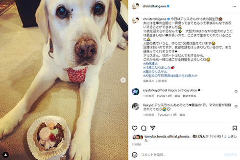 15歳になったアリス