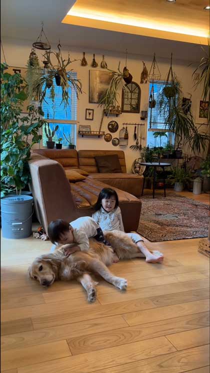 子どもたちに乗られるゴールデンレトリバー