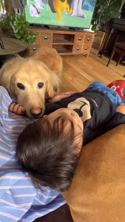 子どもたちに乗られるゴールデンレトリバー