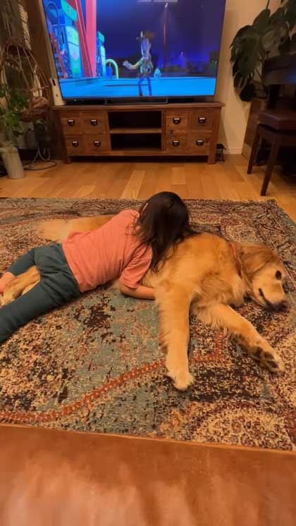 子どもたちに乗られるゴールデンレトリバー