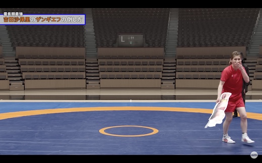 吉田沙保里 ザンギエフ ストリートファイター