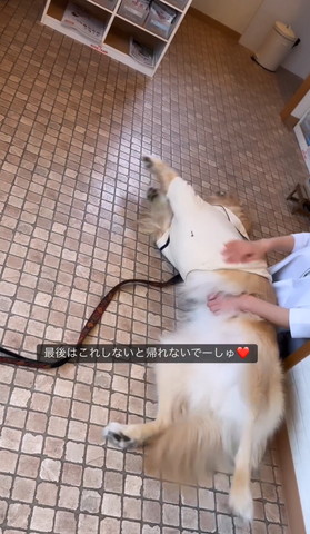 最後はこれしないとテロップ