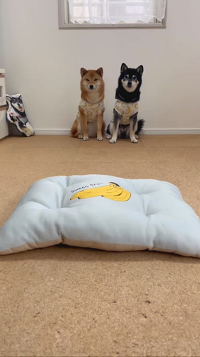 みくりな